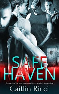 Download Safe Haven pdf, epub, ebook