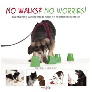 Download No walks? No worries!: Maintaining wellbeing in dogs on restricted exercise pdf, epub, ebook