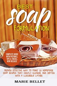 Download Best Soap Formulation: Proven Effective Way to Make 25 Homemade Soap Recipes That Gently Cleanse And Soften With A Luxurious Lather pdf, epub, ebook