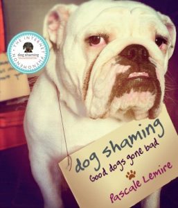 Download Dog Shaming pdf, epub, ebook