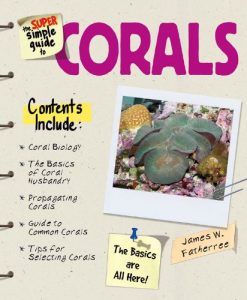 Download Super Simple Guide Corals (Super Simple Guide To…) pdf, epub, ebook