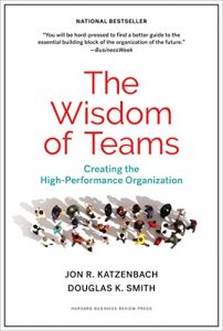 Download The Wisdom of Teams: Creating the High-Performance Organization pdf, epub, ebook