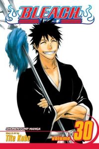 Download Bleach, Vol. 30: There Is No Heart Without You pdf, epub, ebook