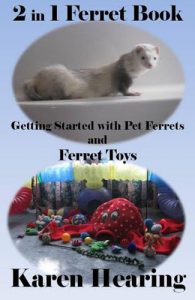 Download 2 in 1 Ferret Book: Getting Started with Pet Ferrets and Ferret Toys pdf, epub, ebook