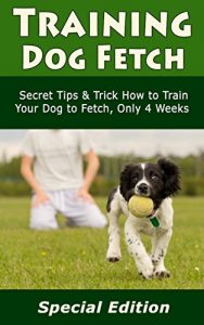 Download Training Dog Fetch: Secret Tips & Tricks How to Train Your Dog to Fetch, Only 4 Weeks pdf, epub, ebook