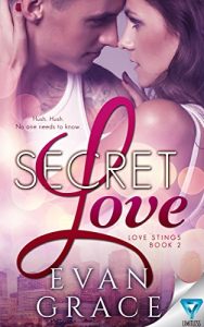 Download Secret Love (Love Stings Series Book 2) pdf, epub, ebook