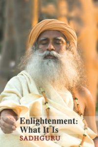 Download Enlightenment: What It Is (In The Presence of the Master Book 1) pdf, epub, ebook