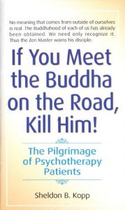 Download If You Meet the Buddha on the Road, Kill Him: The Pilgrimage Of Psychotherapy Patients pdf, epub, ebook