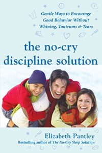 Download The No-Cry Discipline Solution: Gentle Ways to Encourage Good Behavior Without Whining, Tantrums, and Tears: Foreword by Tim Seldin (Pantley) pdf, epub, ebook