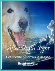 Download After Death Signs from Pet Afterlife and Animals in Heaven: How to Ask for Signs and Visits and What They Mean pdf, epub, ebook