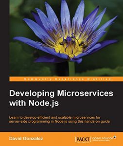 Download Developing Microservices with Node.js pdf, epub, ebook