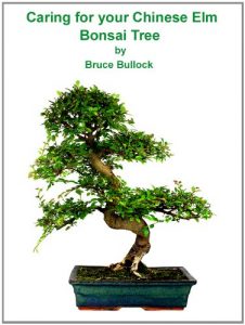 Download Caring For Your Chinese Elm Bonsai Tree pdf, epub, ebook