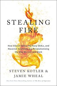 Download Stealing Fire: How Silicon Valley, the Navy SEALs, and Maverick Scientists Are Revolutionizing the Way We Live and Work pdf, epub, ebook