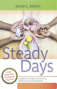 Download Steady Days: A Journey Toward Intentional, Professional Motherhood pdf, epub, ebook