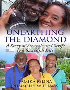 Download Unearthing the Diamond: A story of struggle and strife to a successful Life pdf, epub, ebook