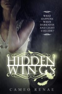 Download Hidden Wings (Hidden Wings Series Book One) pdf, epub, ebook