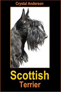 Download Scottish Terrier: How to Own, Train and Care for Your Scottish Terrier pdf, epub, ebook