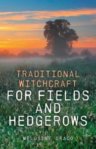 Download Traditional Witchcraft for Fields and Hedgerows pdf, epub, ebook