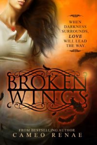 Download Broken Wings (Hidden Wings Series Book Two) pdf, epub, ebook