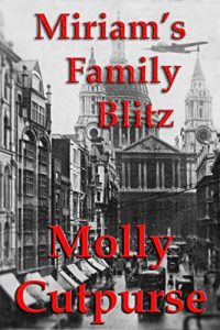 Download Miriam’s Family Blitz (Miriam’s Life Book 10) pdf, epub, ebook