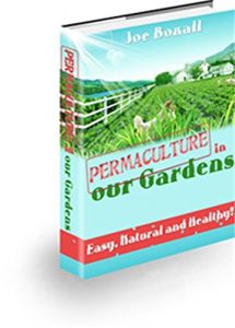 Download Permaculture in Our Gardens pdf, epub, ebook