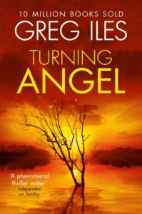 Download Turning Angel (Penn Cage Book 2) pdf, epub, ebook