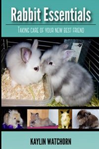 Download Rabbit Essentials: Taking care of your new best friend! pdf, epub, ebook