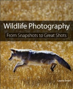 Download Wildlife Photography: From Snapshots to Great Shots pdf, epub, ebook