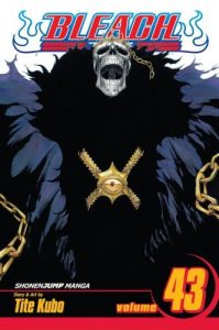 Download Bleach, Vol. 43: Kingdom of Hollows pdf, epub, ebook