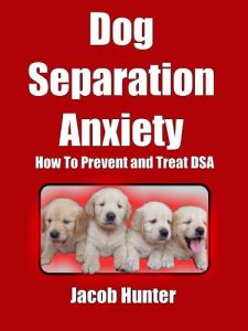 Download Dog Separation Anxiety – How To Prevent and Treat DSA pdf, epub, ebook