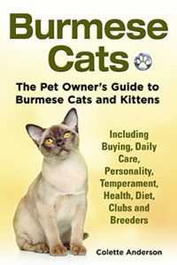 Download Burmese Cats: The Pet Owner’s Guide to Burmese Cats and Kittens, Including Buying, Daily Care, Personality, Temperament, Health, Diet, Clubs and Breeders pdf, epub, ebook