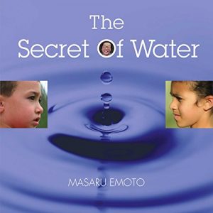 Download The Secret of Water pdf, epub, ebook
