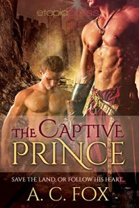 Download The Captive Prince (The Warriors of Love & Magic Book 2) pdf, epub, ebook