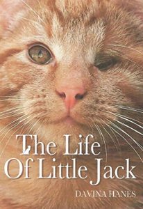 Download The Life of Little Jack pdf, epub, ebook