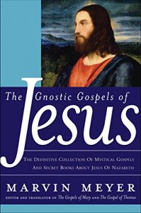 Download The Gnostic Gospels of Jesus: The Definitive Collection of Mystical Gospels and Secret Books about Jesus of Nazareth pdf, epub, ebook