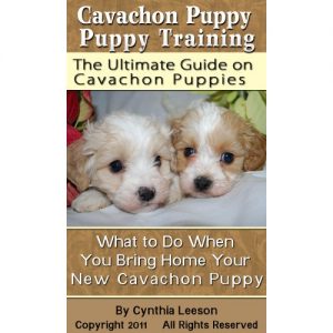 Download Cavachon Puppy Training: The Ultimate Guide on Cavachon Puppies, What to Do When You Bring Home Your New Cavachon Puppy pdf, epub, ebook