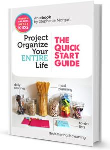 Download 38 Page Planner Printables Pack & Project Organize Your ENTIRE Life: The Quick Start Guide pdf, epub, ebook