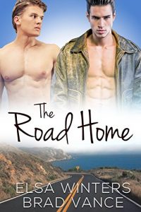 Download The Road Home: A New Adult Gay Romance pdf, epub, ebook