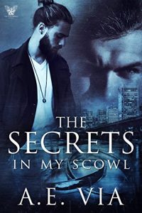 Download The Secrets in My Scowl pdf, epub, ebook