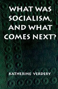 Download What Was Socialism, and What Comes Next? (Princeton Studies in Culture/Power/History) pdf, epub, ebook