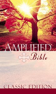 Download Amplified Topical Reference Bible, Imitation Leather, Tan/Burgundy pdf, epub, ebook