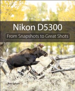 Download Nikon D5300: From Snapshots to Great Shots pdf, epub, ebook