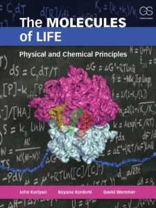 Download The Molecules of Life: Physical and Chemical Principles: Physical Principles and Cellular Dynamics pdf, epub, ebook
