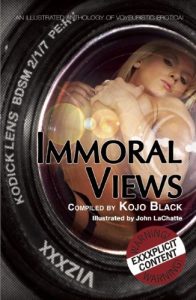 Download Immoral Views: An illustrated anthology of voyeuristic erotica pdf, epub, ebook