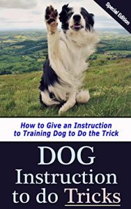 Download Dog Instruction to Do Tricks: How to Give an Instruction to Training Dog to Do Tricks pdf, epub, ebook