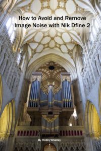 Download How to Avoid and Remove Image Noise with Nik Dfine 2 (The Lightweight Photographer Books) pdf, epub, ebook