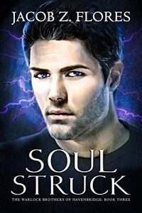 Download Soul Struck (The Warlock Brothers of Havenbridge Book 3) pdf, epub, ebook