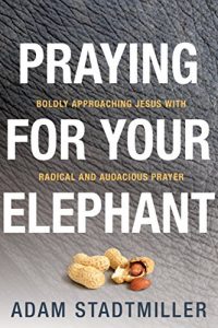 Download Praying for Your Elephant: Boldly Approaching Jesus with Radical and Audacious Prayer pdf, epub, ebook