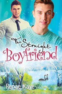 Download The Straight Boyfriend (Loving You Book 3) pdf, epub, ebook