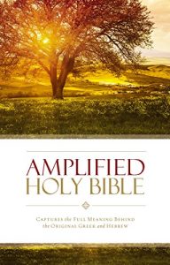 Download Amplified Holy Bible, eBook: Captures the Full Meaning Behind the Original Greek and Hebrew pdf, epub, ebook